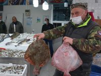 Kalkan balığı tadımlık oldu, fiyatı cep yakıyor