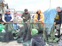 Marmara’da deniz salyası, balıkçılara erken 'paydos' ettirdi