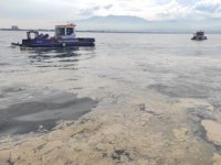 İzmit Körfezi’ndeki deniz salyası temizleniyor