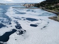 Gelibolu Yarımadası sahilleri müsilaja teslim oldu