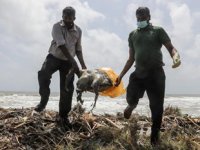 Sri Lanka'daki gemi yangını, çevre felaketine yol açtı