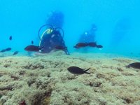 Doğu Akdeniz, su altı zenginliğiyle dalış tutkunlarını cezbediyor