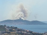 Heybeliada’da orman yangını çıktı