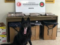 Mersin Limanı’nda 30 kilo kokain ele geçirildi