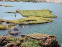 Çat Baraj Gölü’ndeki yüzen adalar sabitlenecek