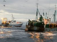 Fransa, balıkçı sorunu nedeniyle İngiltere'ye karşı misilleme önlemleri alacak