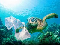 Plastik kirliliği, deniz kaplumbağalarını tehdit ediyor