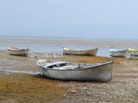 Türkiye’nin ilk iklim davası, Marmara Gölü için açıldı