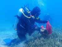 Bodrum’da deniz dibi temizliği gerçekleştirildi