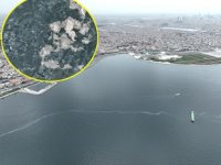 İstanbul'da müsilaj yüzünü yeniden gösterdi