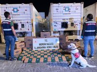 Mersin Limanı’nda ele geçirilen uyuşturucuyla ilgili 1 kişi tutuklandı