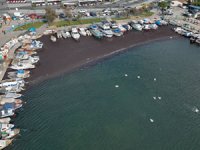 İzmir Körfezi'nde deniz yosunu yayılımı sürüyor