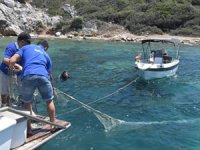 Bodrum'da dalgıçlar deniz dibinde ağ temizliği yaptı