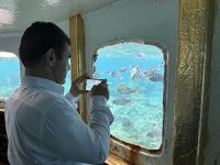 Dalgıç Kulübe'de ziyaretçiler binlerce deniz canlısını görebiliyor