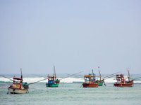 Sri Lanka'da 22 balıkçı gözaltına alındı