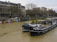 Paris Belediye Başkanı, olimpiyatların yapılacağı kirliliğiyle gündemdeki Seine Nehri'nde yüzdü