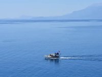 Sıcaklık artışıyla Karadeniz'e yayılan türler deniz ekosistemini tehdit ediyor