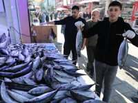 Karadeniz'de büyüyen palamut yüz güldürdü