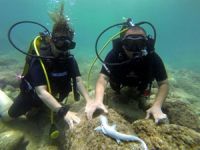 Antalya dalış turizminde farkındalık yaratıyor