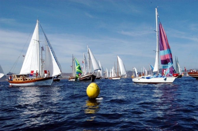 bodrum_cup12.jpg