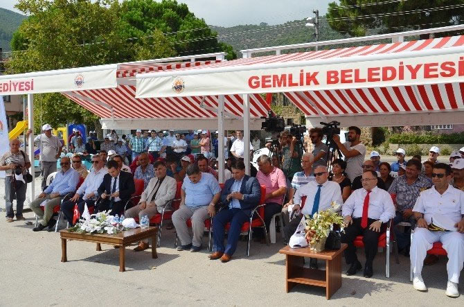 gemlik1-002.jpg