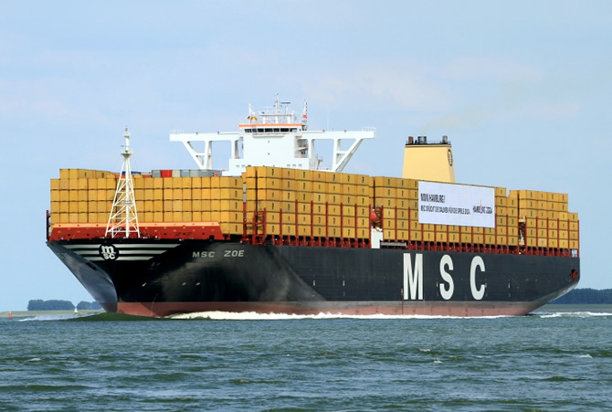 msc_zoe_1.jpg