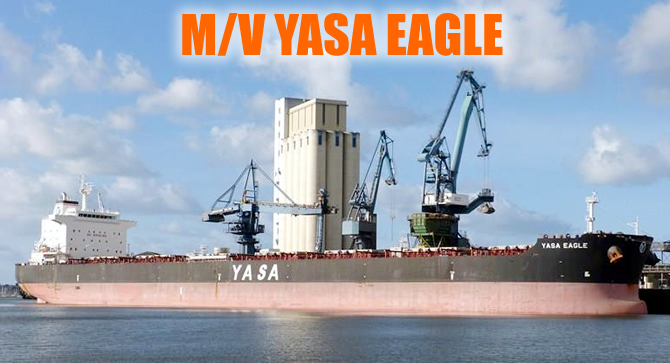 yasa_eagle_buyuk.jpg